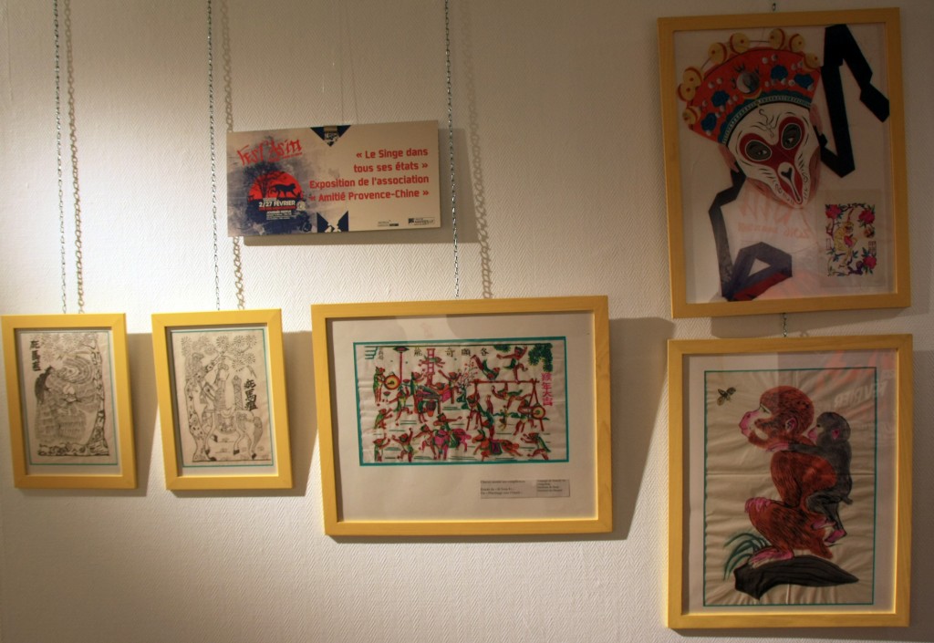 Détails de l'exposition sur le Singe dans tous ses états, cité des associations, Marseille